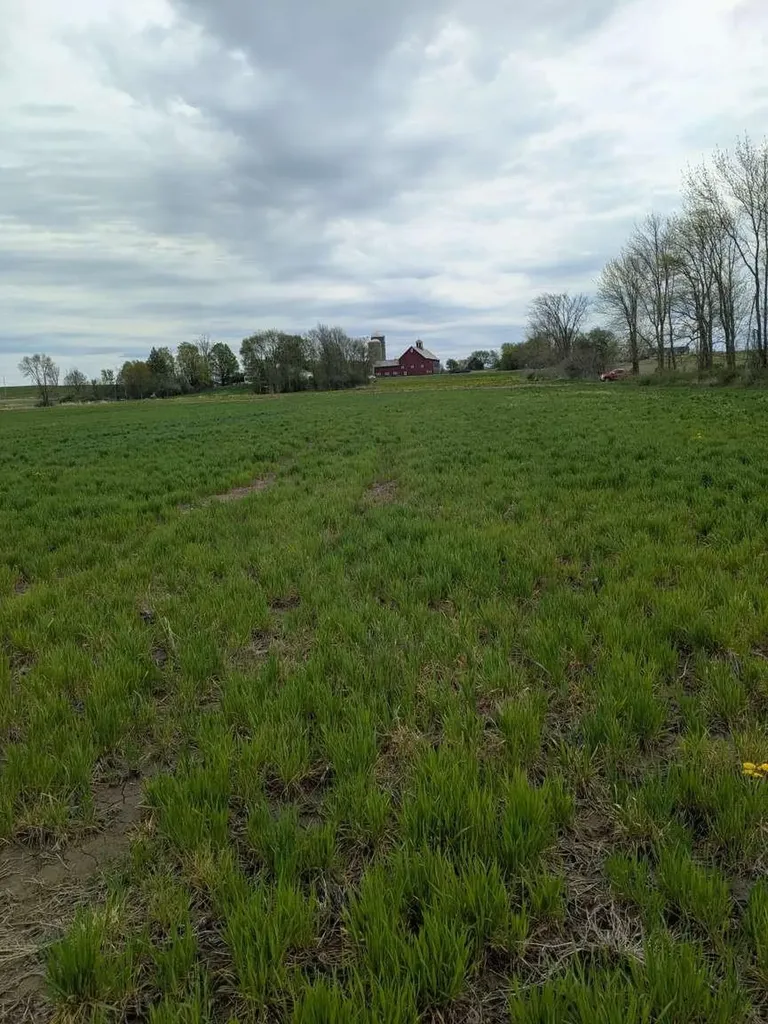 104 Old Stonehouse Road Addison VT 05491