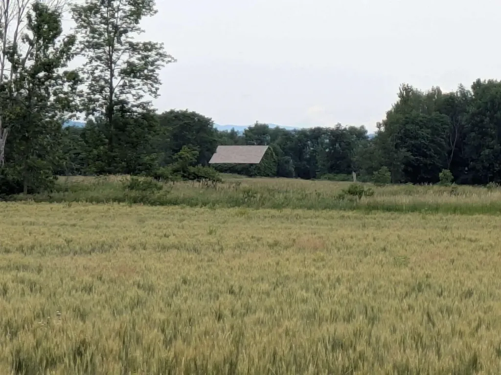104 Old Stonehouse Road Addison VT 05491