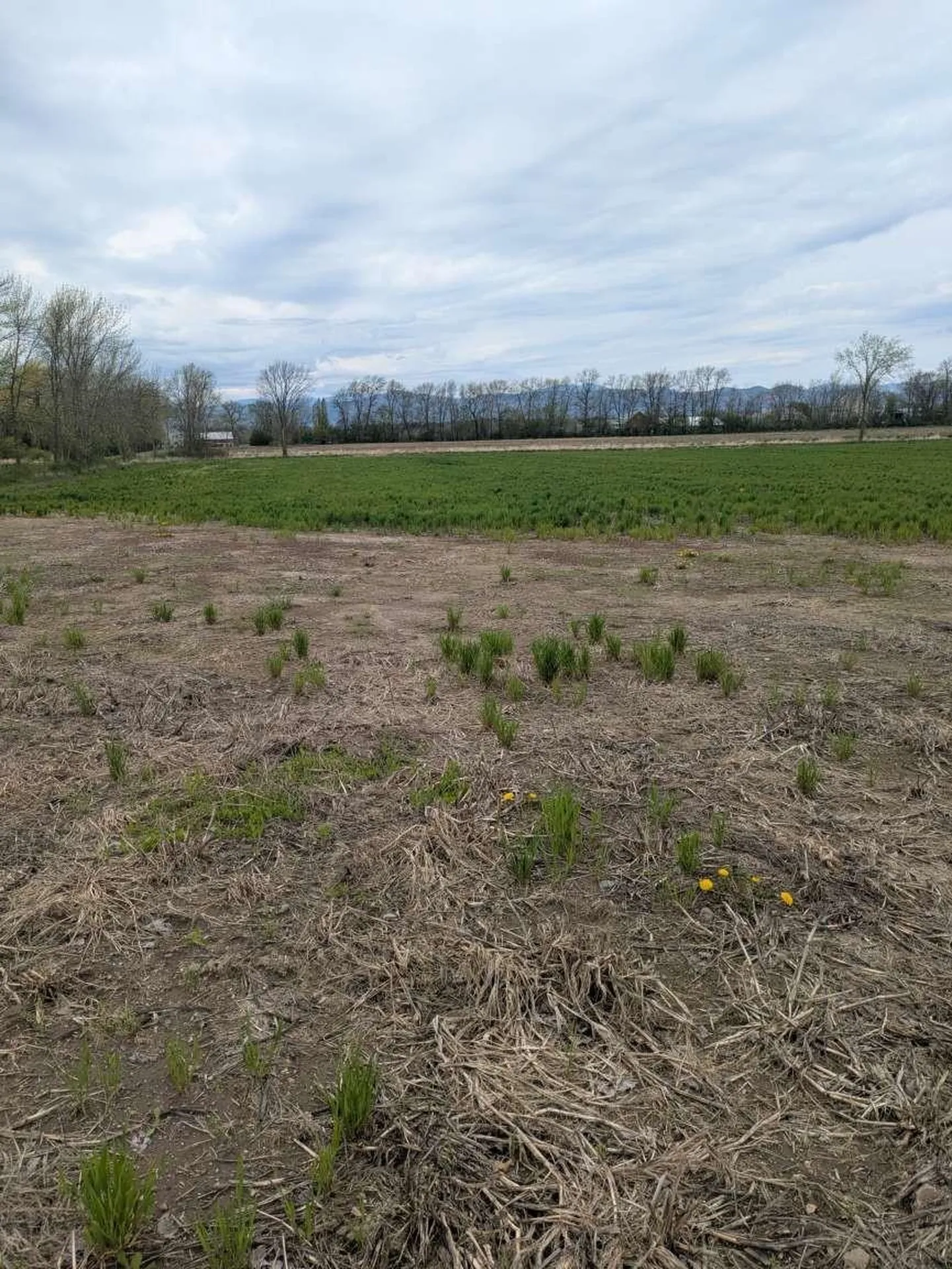 104 Old Stonehouse Road Addison VT 05491
