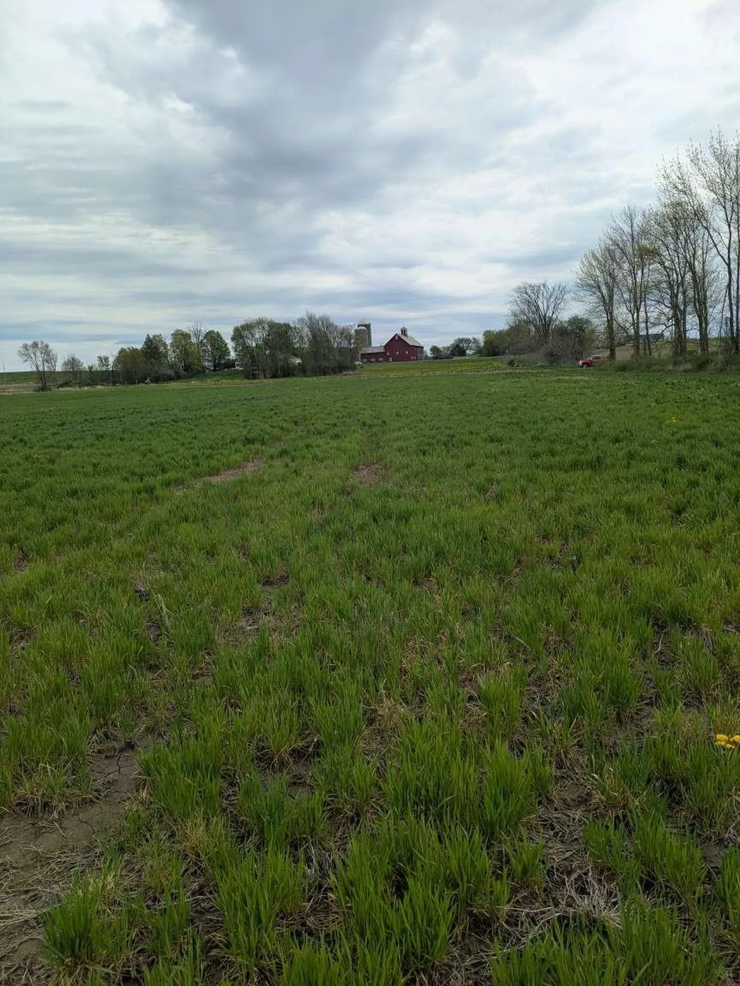 104 Old Stonehouse Road Addison VT 05491