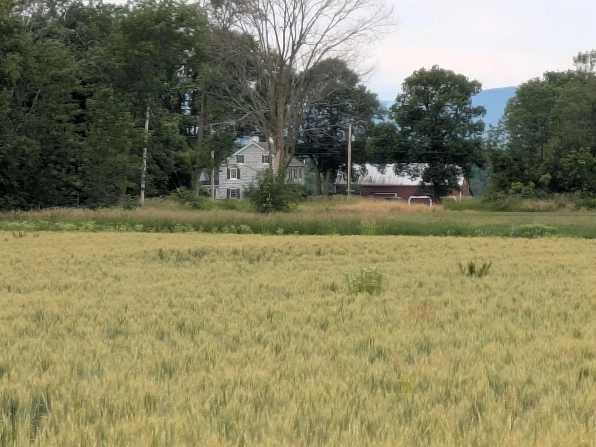104 Old Stonehouse Road Addison VT 05491