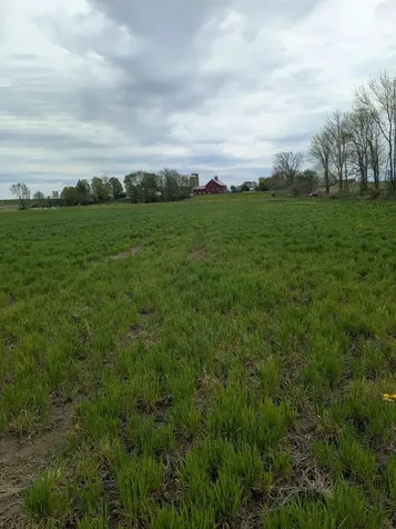104 Old Stonehouse Road Addison VT 05491