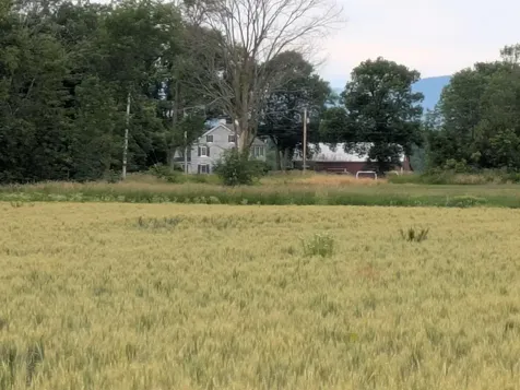 104 Old Stonehouse Road Addison VT 05491