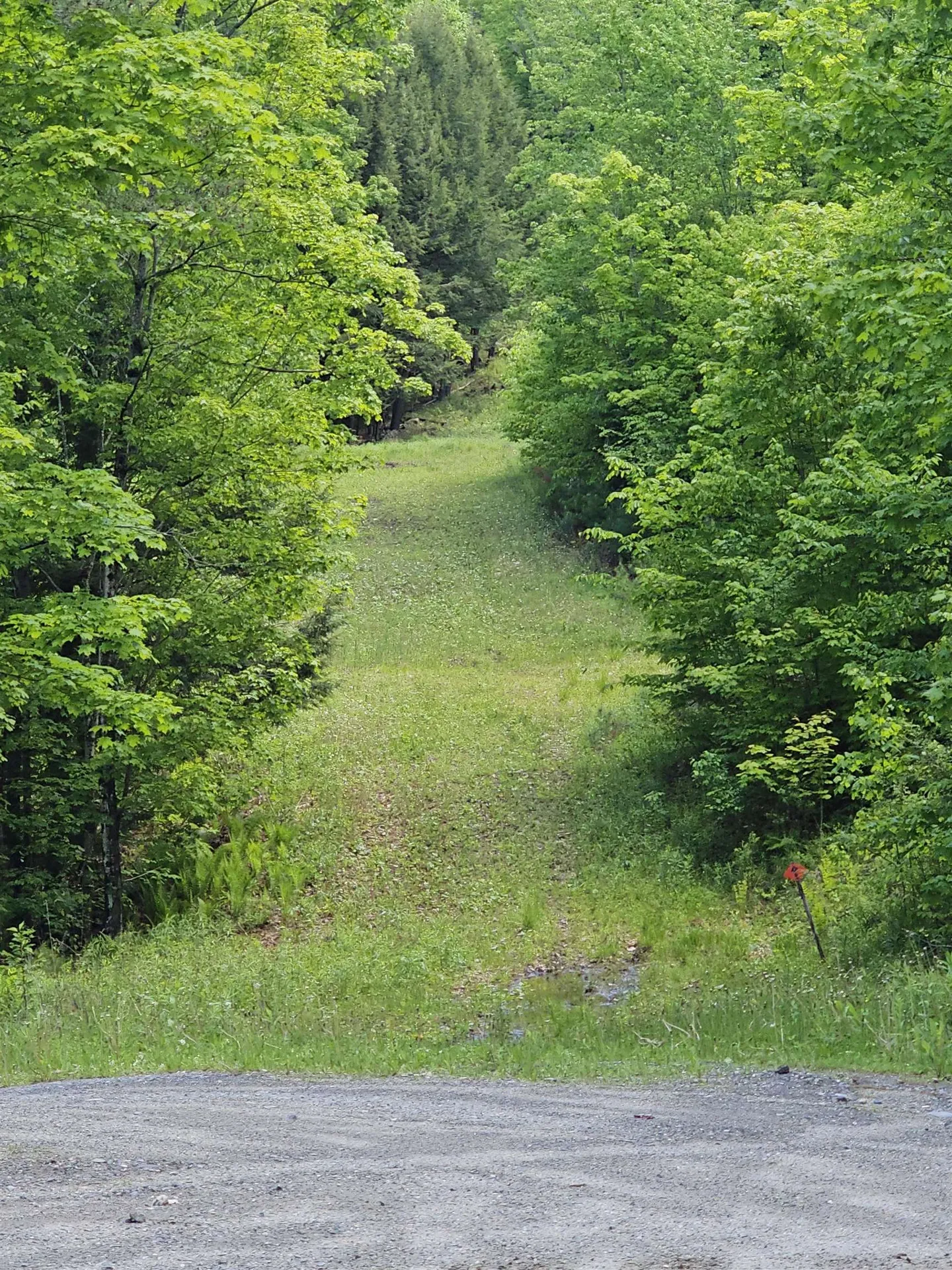 46 Pine Hill Road Monroe NH 03771