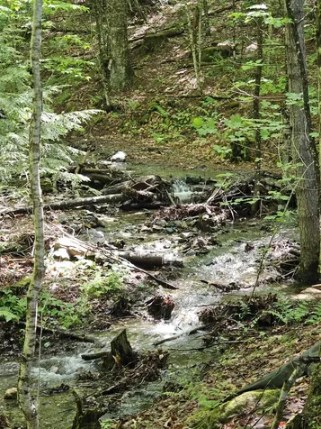 46 Pine Hill Road Monroe NH 03771
