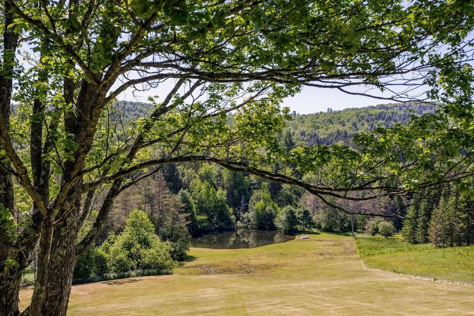 1586 Bent Hill Road Braintree VT 05060