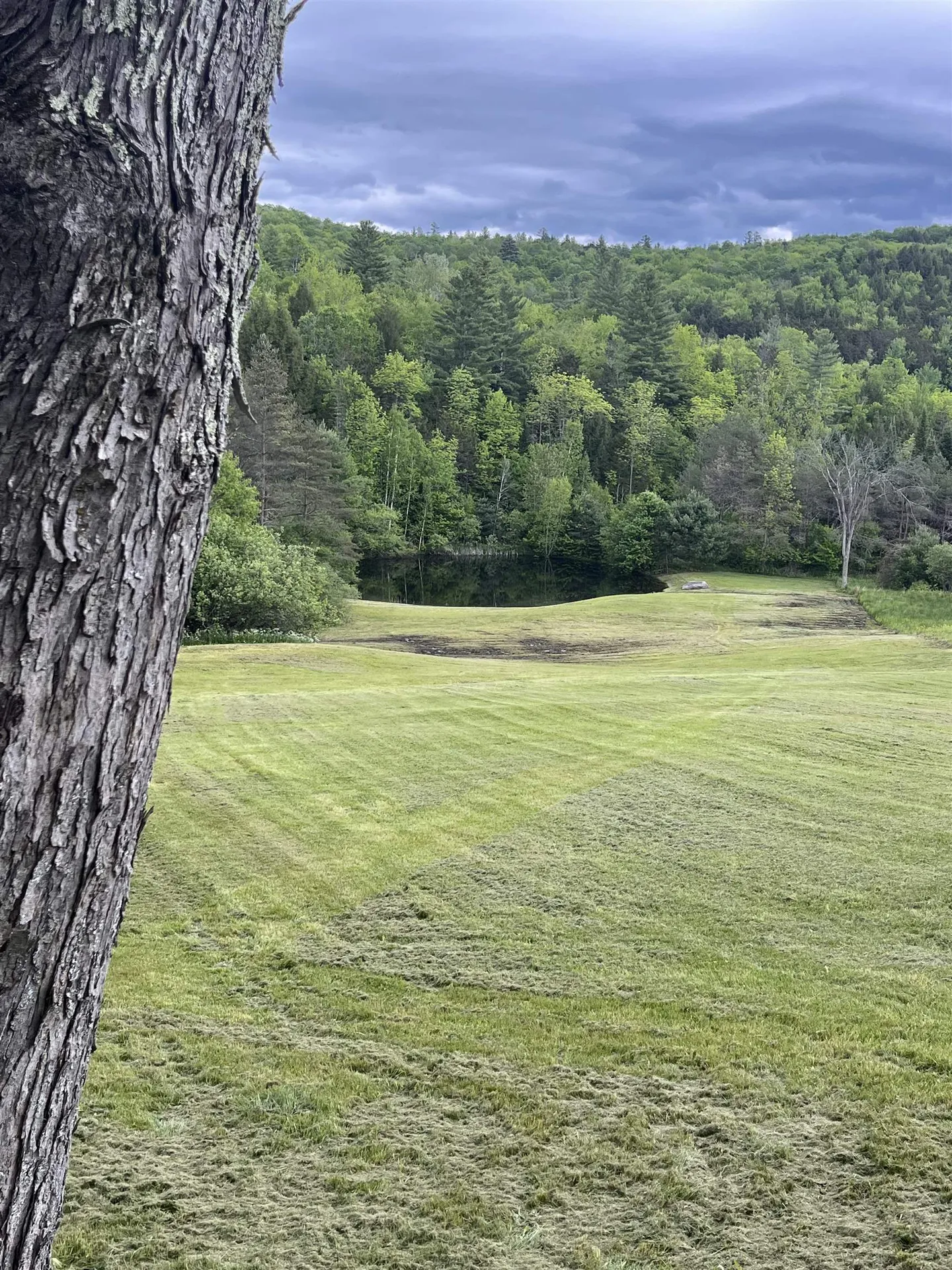 1586 Bent Hill Road Braintree VT 05060