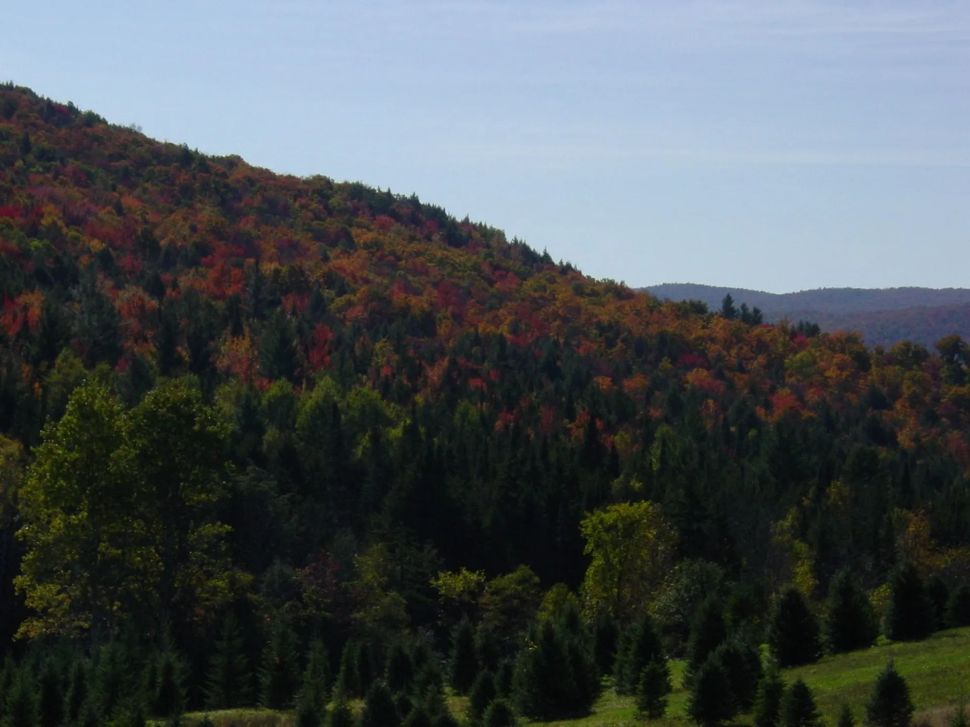 1586 Bent Hill Road Braintree VT 05060