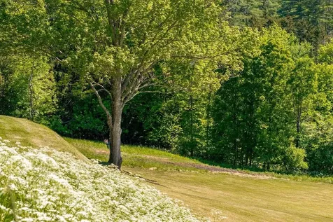 1586 Bent Hill Road Braintree VT 05060