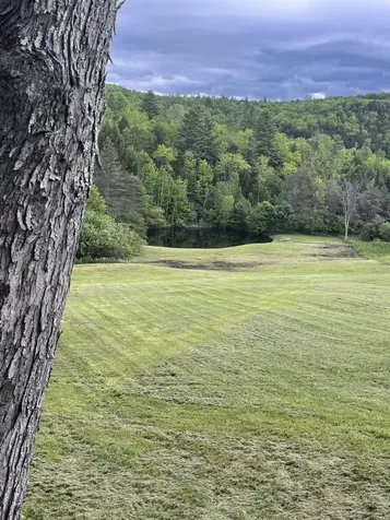 1586 Bent Hill Road Braintree VT 05060