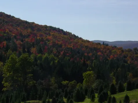 1586 Bent Hill Road Braintree VT 05060