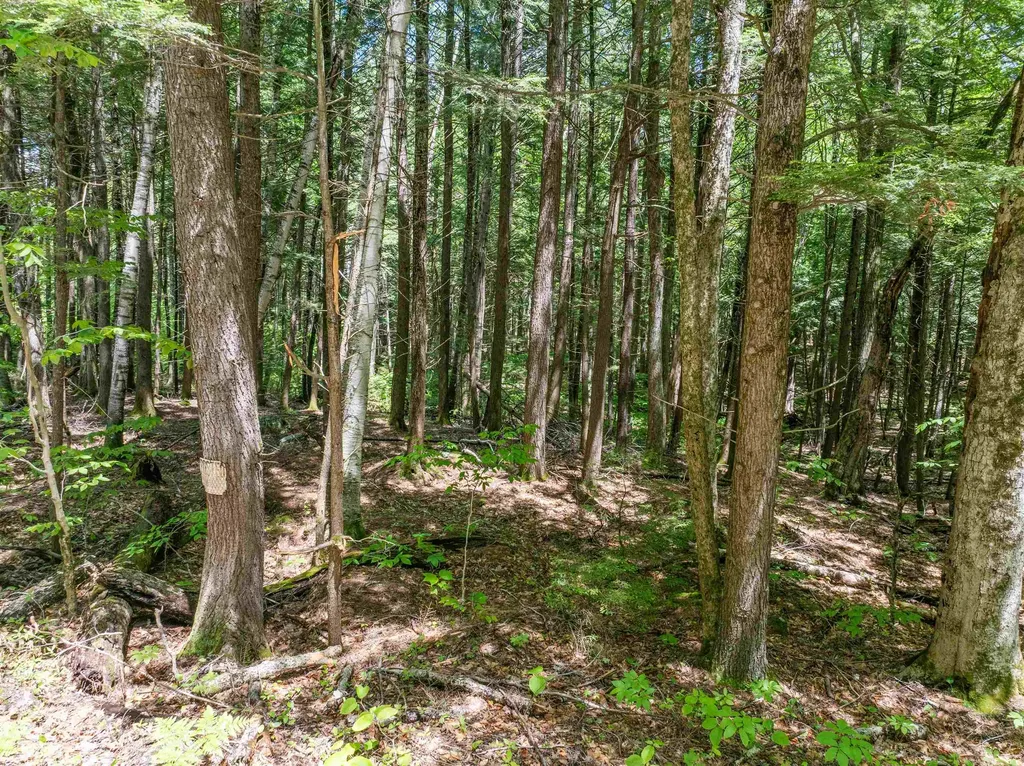 47 Forest Pond Road New Hampton NH 03256