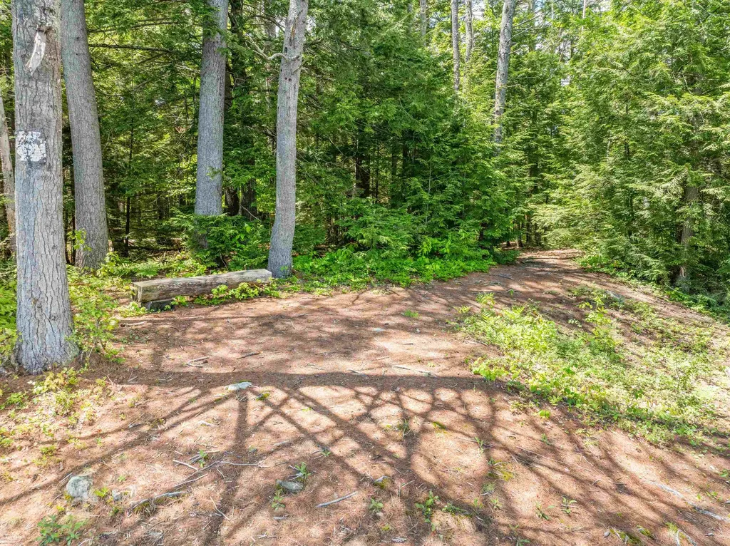 47 Forest Pond Road New Hampton NH 03256