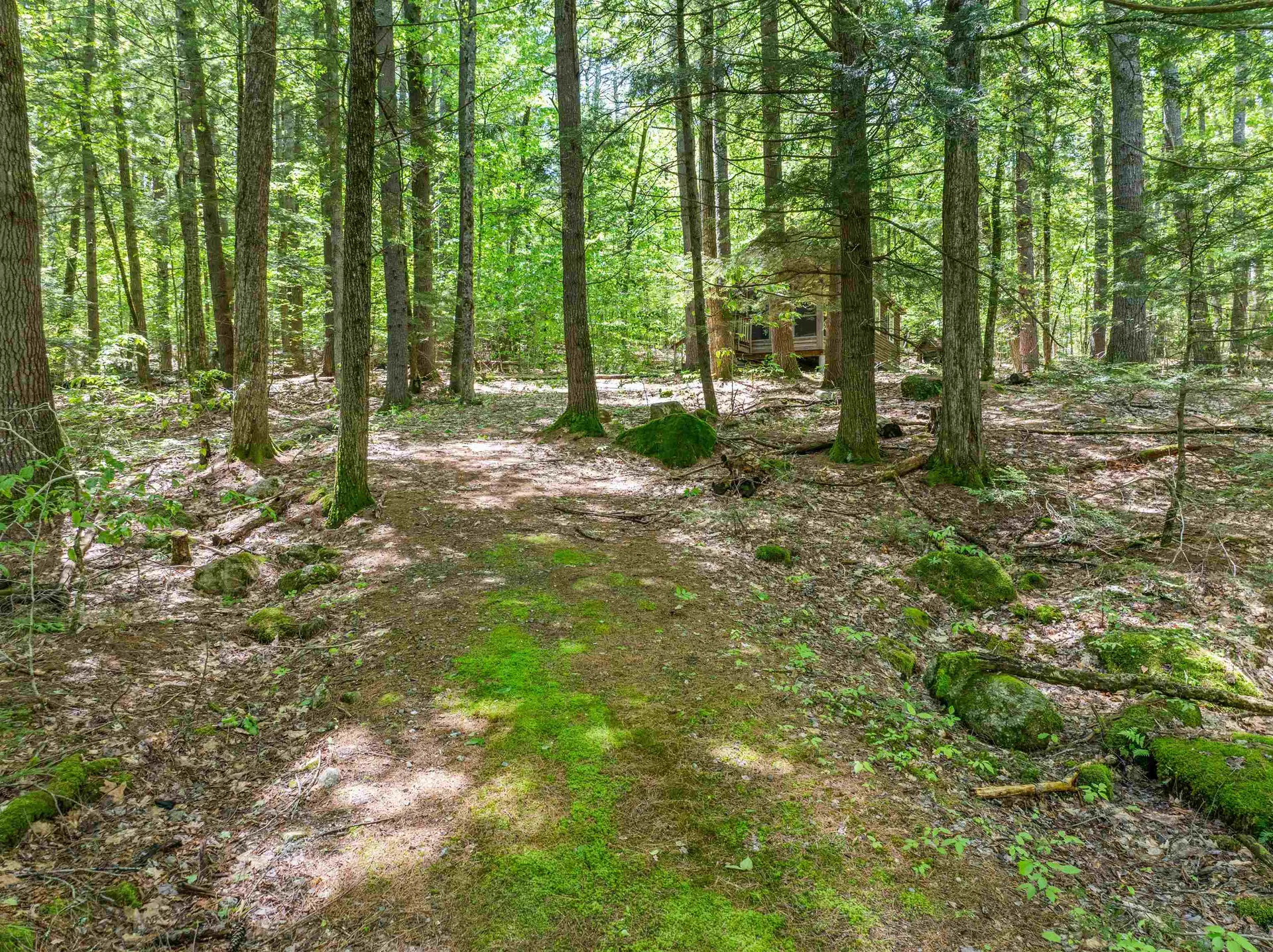 47 Forest Pond Road New Hampton NH 03256