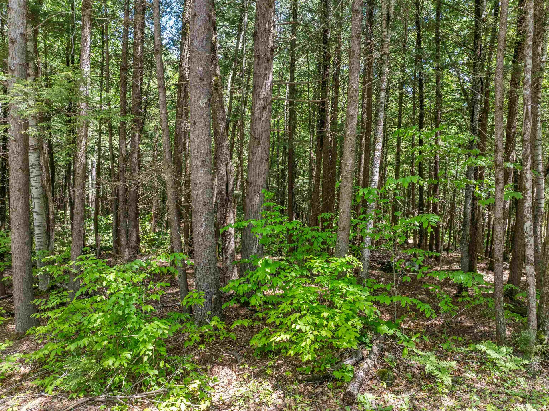 47 Forest Pond Road New Hampton NH 03256