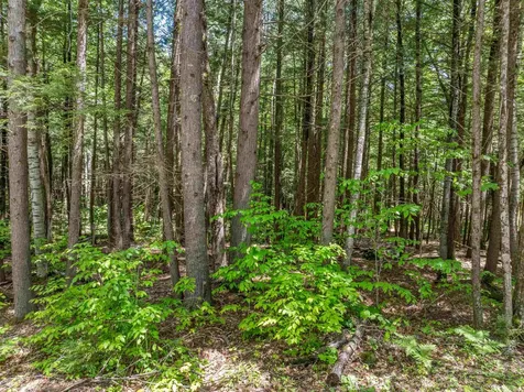 47 Forest Pond Road New Hampton NH 03256
