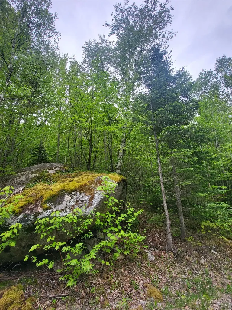 0 Saphire Lane Jefferson NH 03583