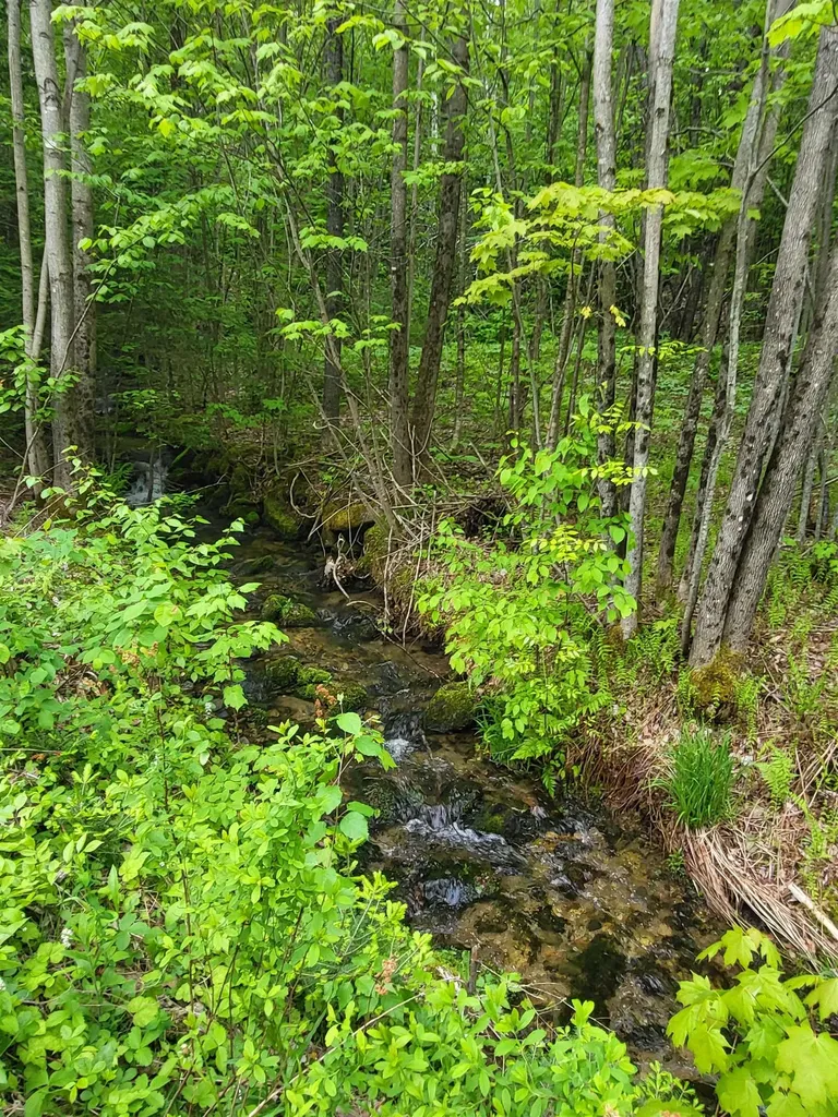 0 Saphire Lane Jefferson NH 03583