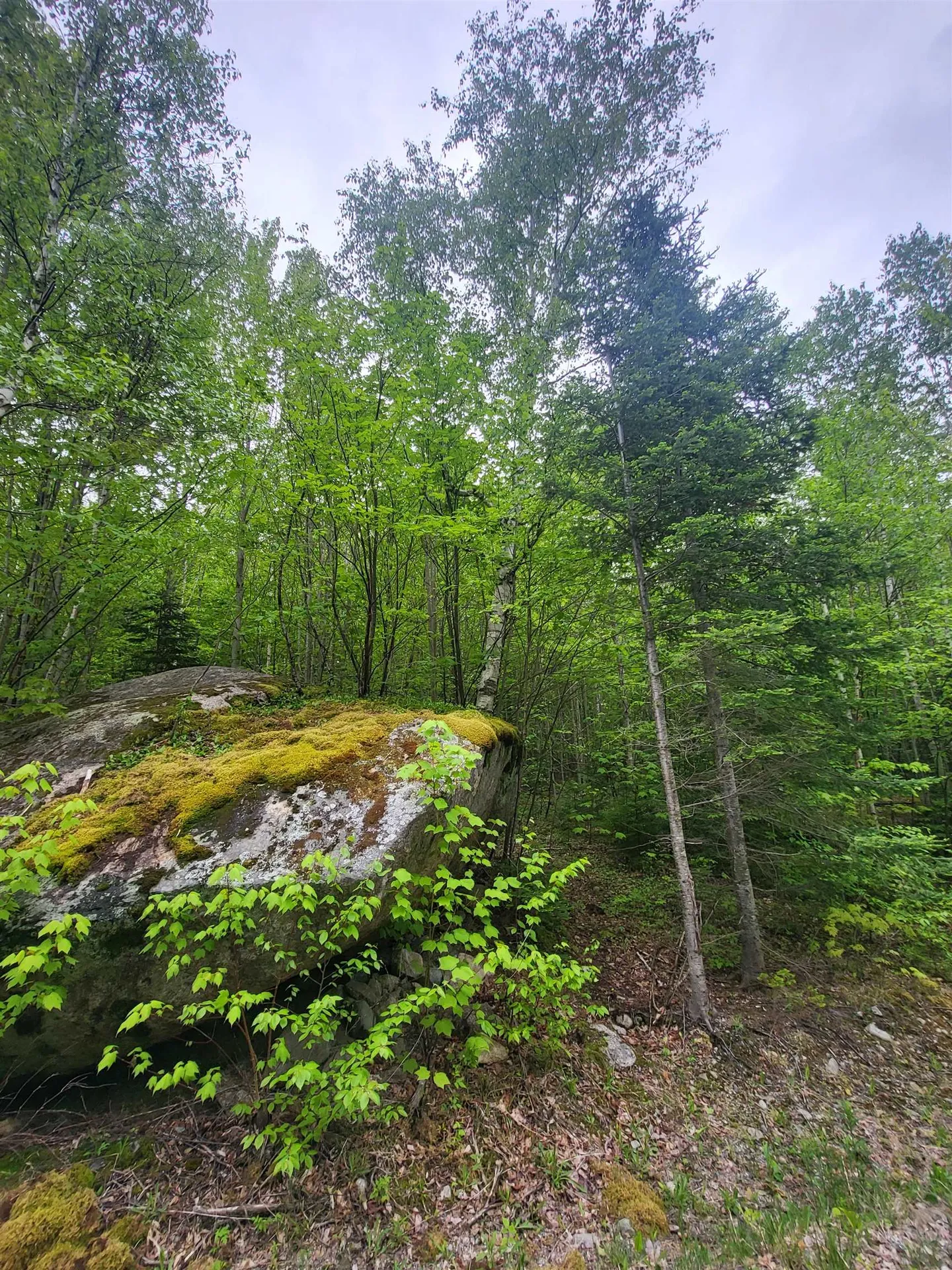 0 Saphire Lane Jefferson NH 03583