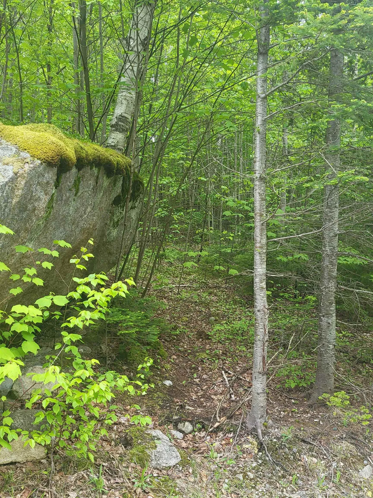 0 Saphire Lane Jefferson NH 03583