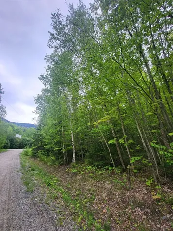 0 Saphire Lane Jefferson NH 03583