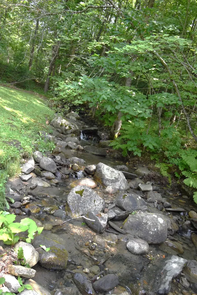 160 Parshley Road Vershire VT 05079