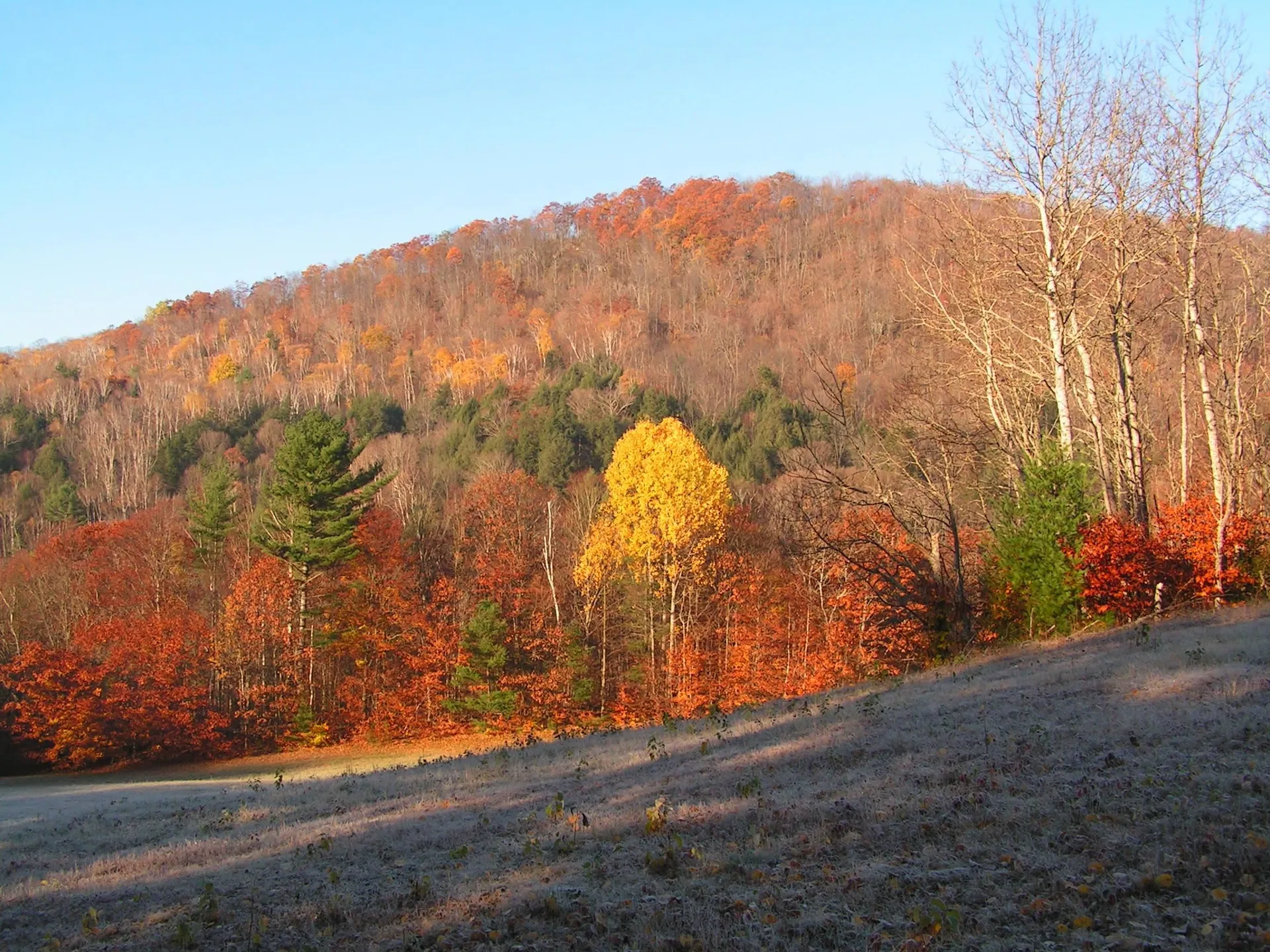 160 Parshley Road Vershire VT 05079