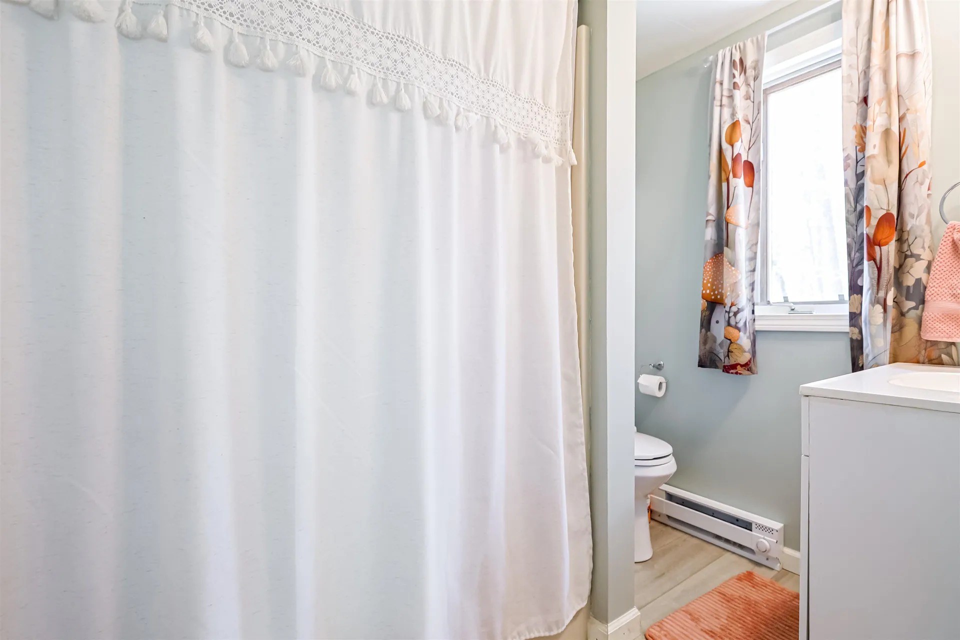 40 Emerald Point Road Wakefield NH 03830