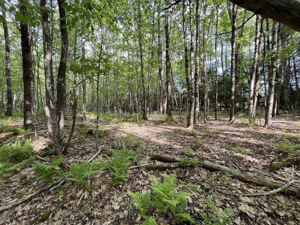 MAP17-LOT 31&33 River Road Bath NH 03740