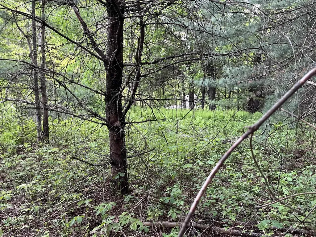 MAP17-LOT 31&33 River Road Bath NH 03740