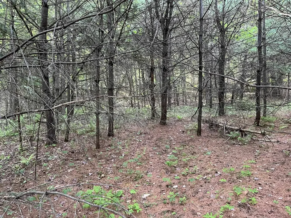 MAP17-LOT 31&33 River Road Bath NH 03740