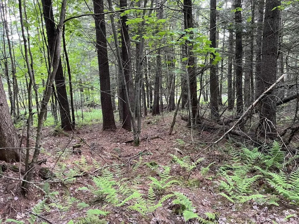 MAP17-LOT 31&33 River Road Bath NH 03740