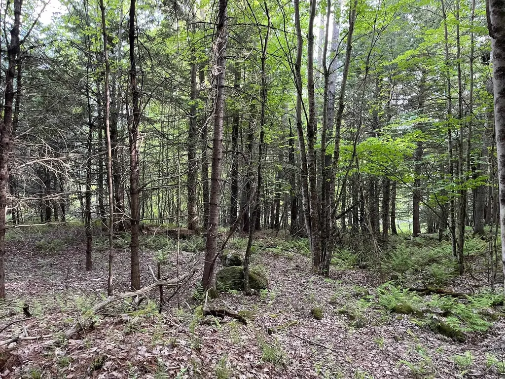 MAP17-LOT 31&33 River Road Bath NH 03740