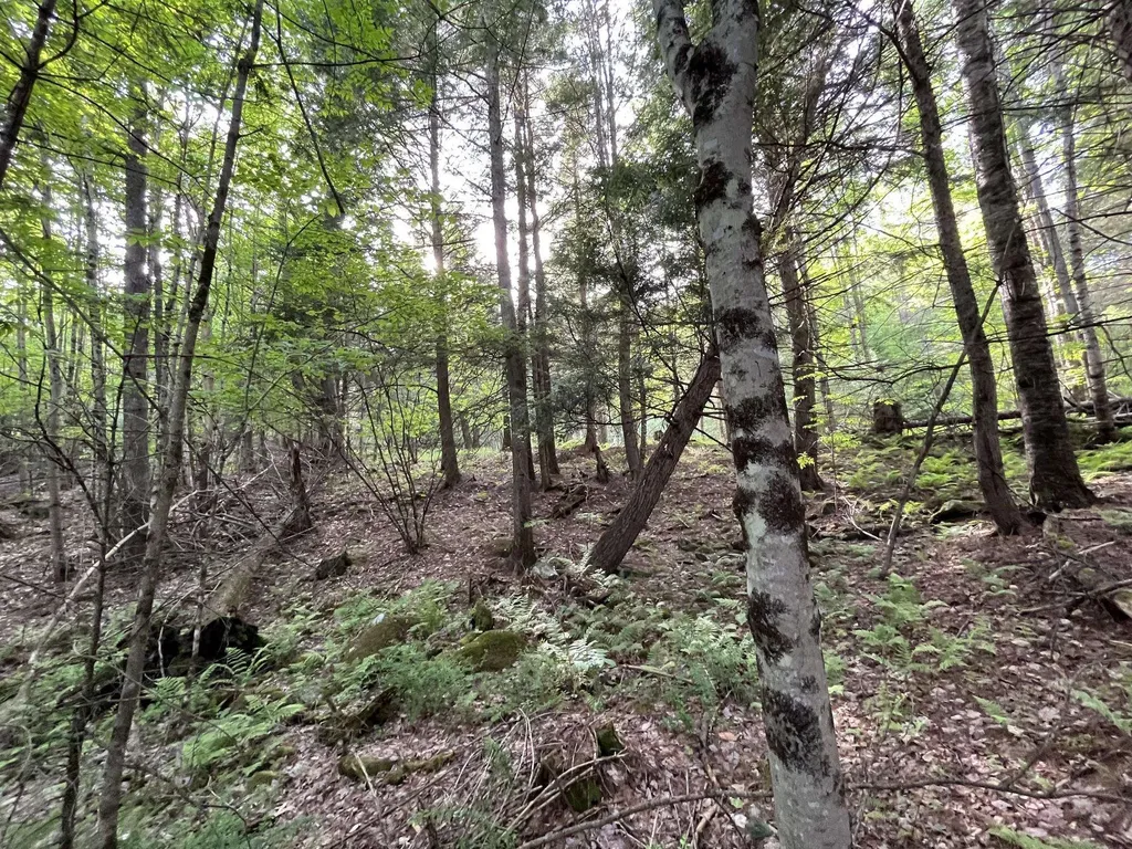 MAP17-LOT 31&33 River Road Bath NH 03740
