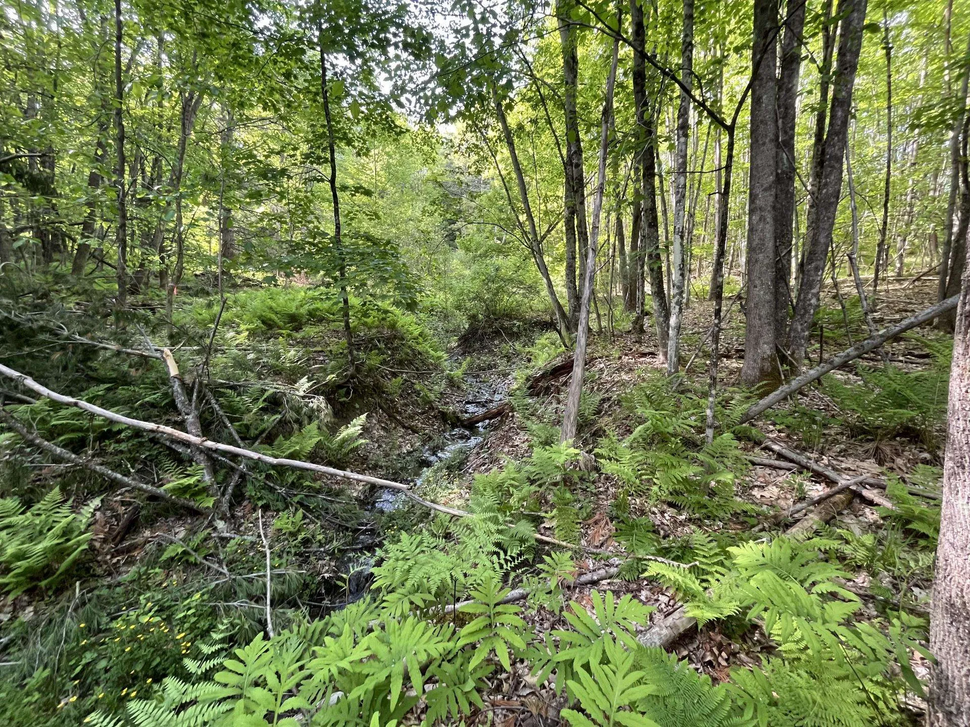 MAP17-LOT 31&33 River Road Bath NH 03740