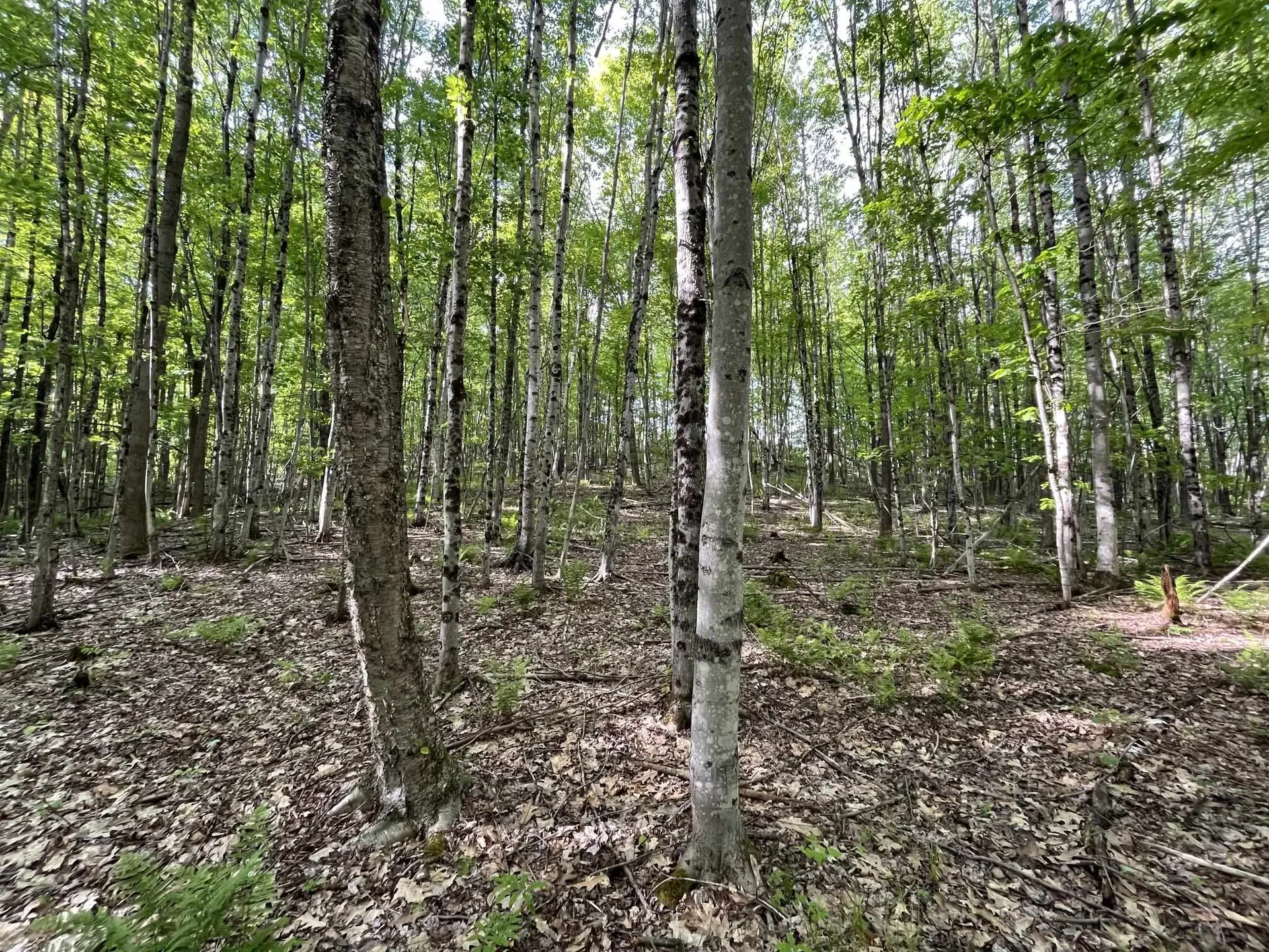 MAP17-LOT 31&33 River Road Bath NH 03740