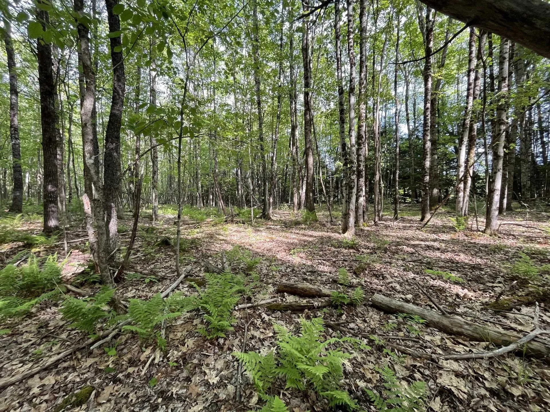 MAP17-LOT 31&33 River Road Bath NH 03740