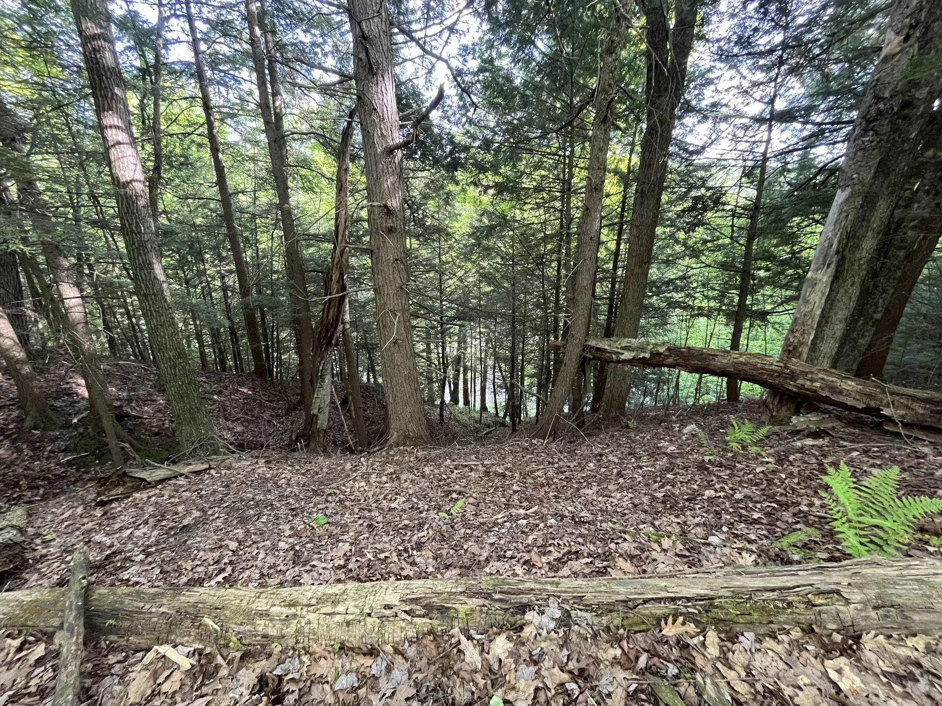 MAP17-LOT 31&33 River Road Bath NH 03740