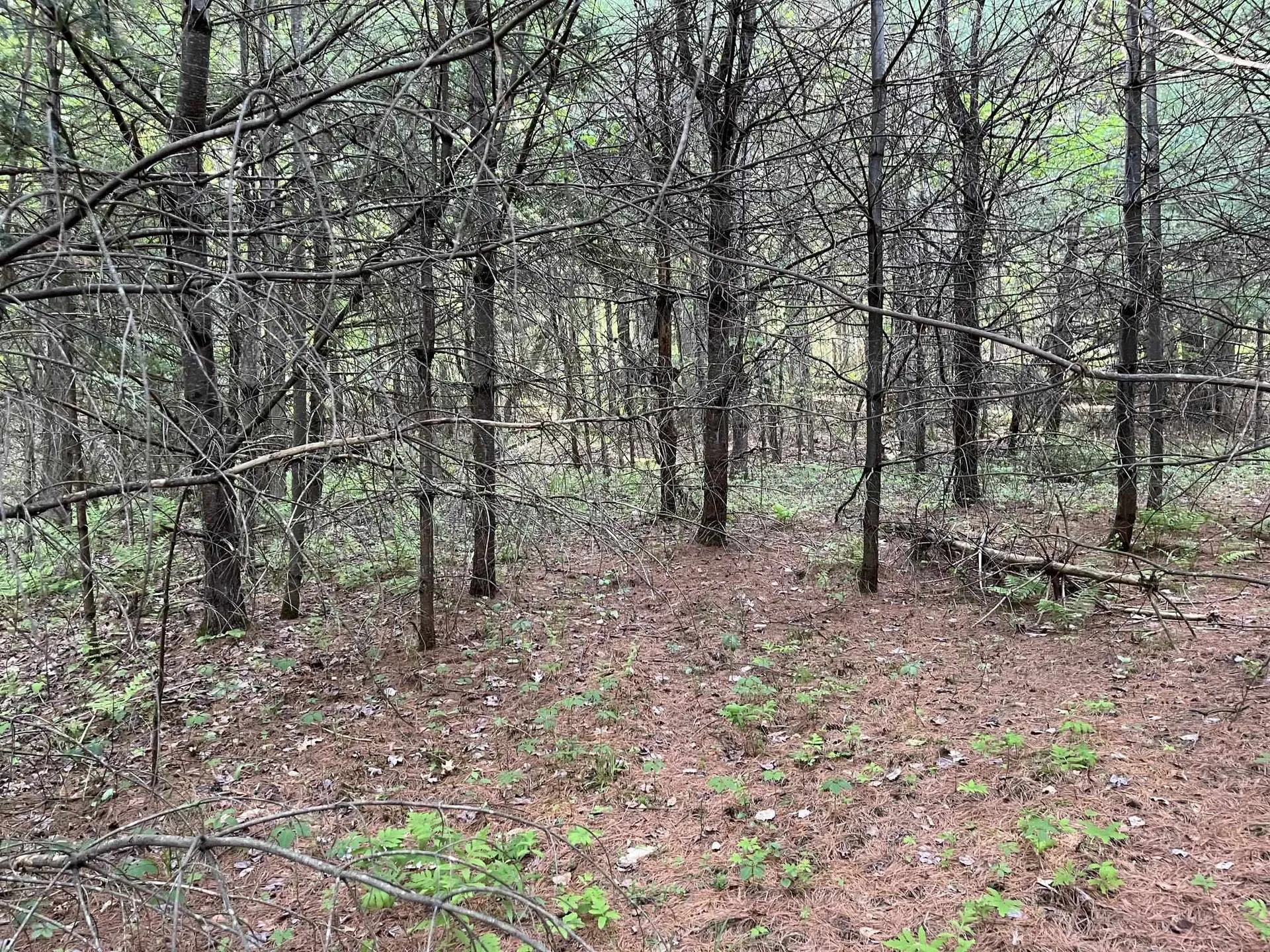 MAP17-LOT 31&33 River Road Bath NH 03740