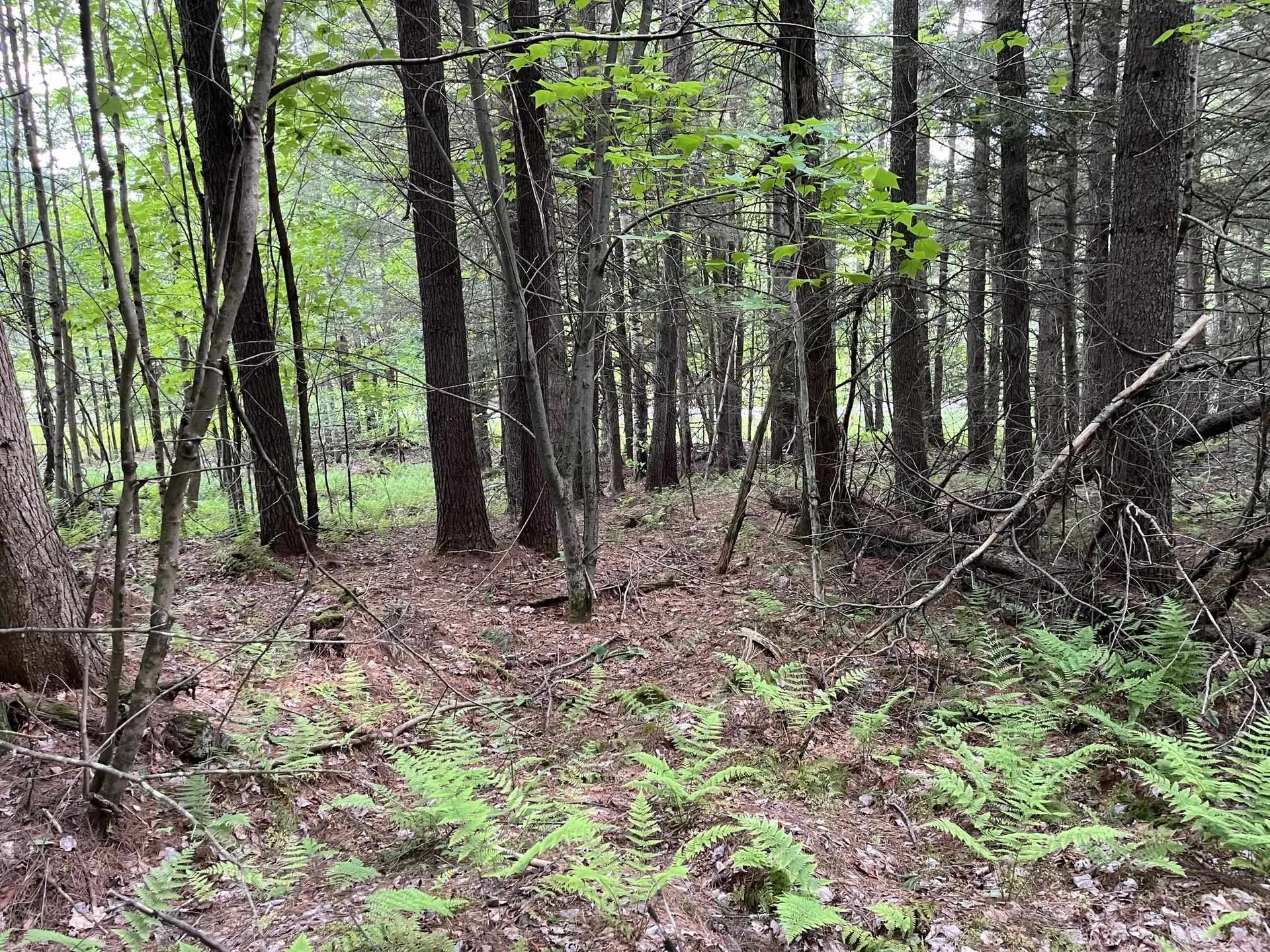 MAP17-LOT 31&33 River Road Bath NH 03740
