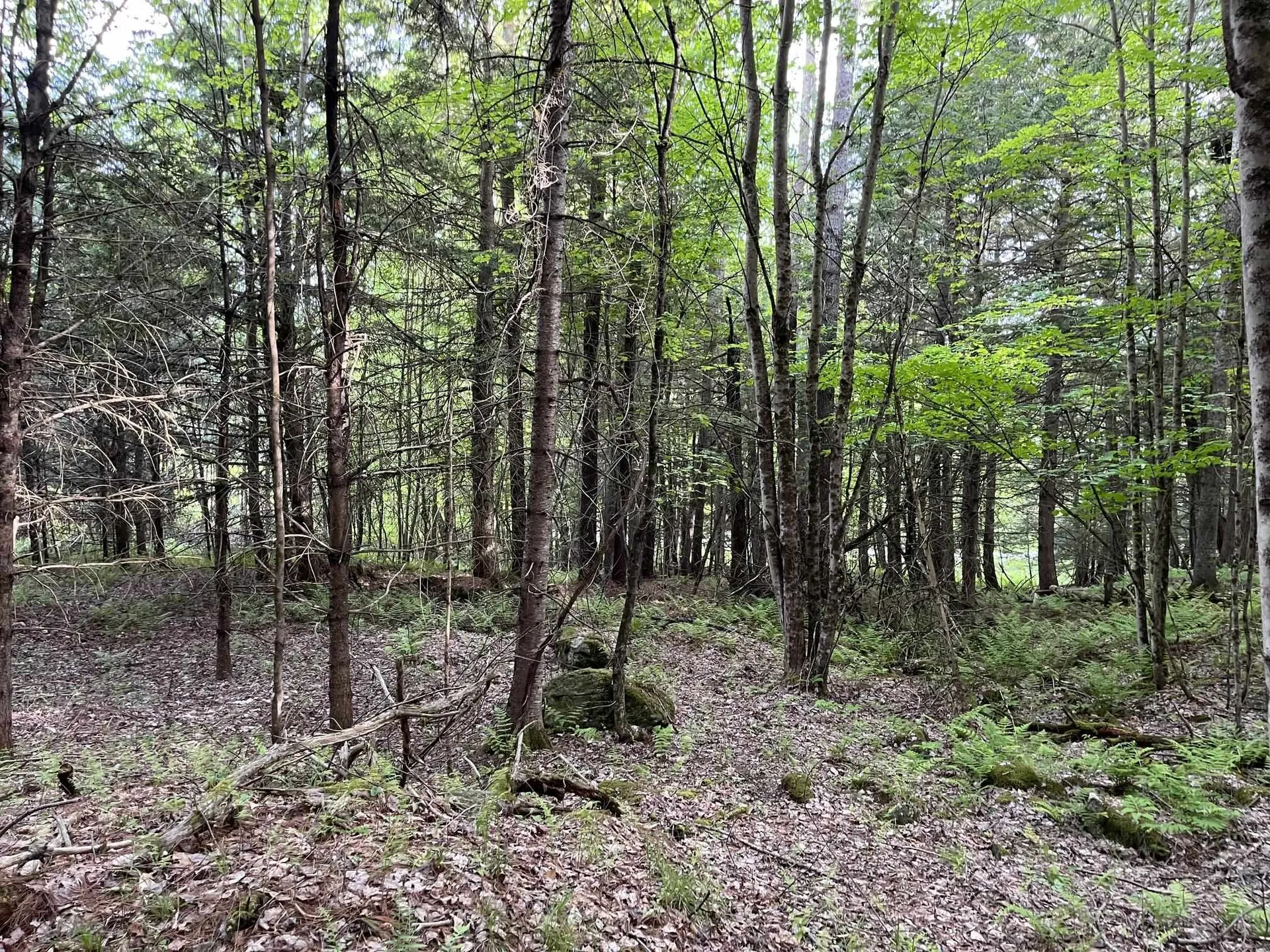 MAP17-LOT 31&33 River Road Bath NH 03740