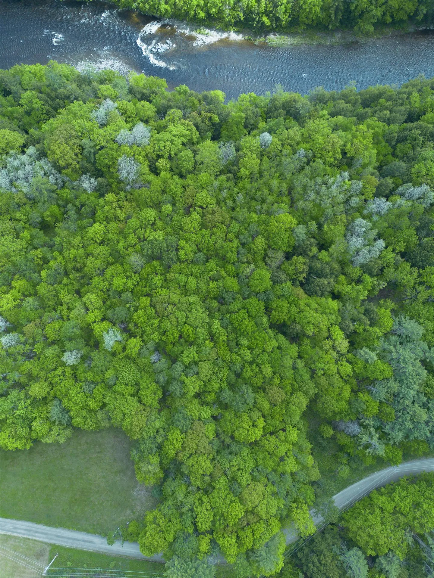 MAP17-LOT 31&33 River Road Bath NH 03740