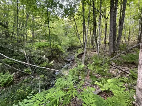 MAP17-LOT 31&33 River Road Bath NH 03740