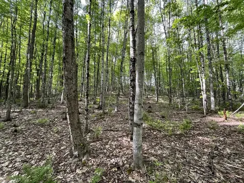 MAP17-LOT 31&33 River Road Bath NH 03740