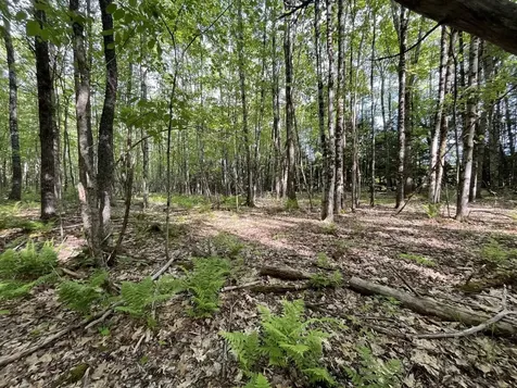 MAP17-LOT 31&33 River Road Bath NH 03740