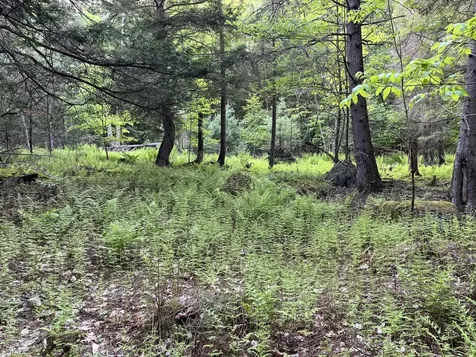 MAP17-LOT 31&33 River Road Bath NH 03740
