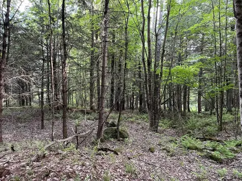 MAP17-LOT 31&33 River Road Bath NH 03740