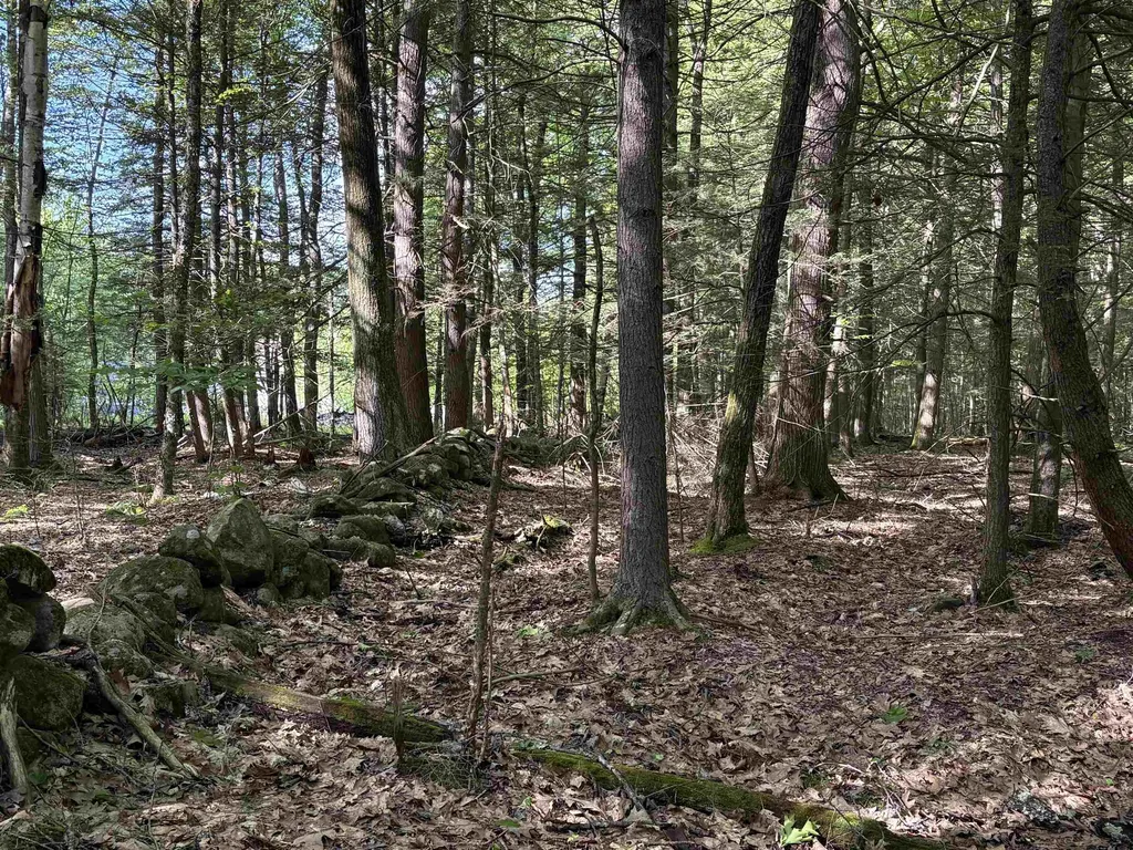 Lot 85 Currier Road Candia NH 03034