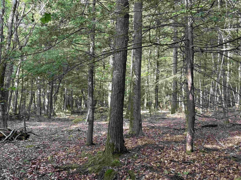 Lot 85 Currier Road Candia NH 03034