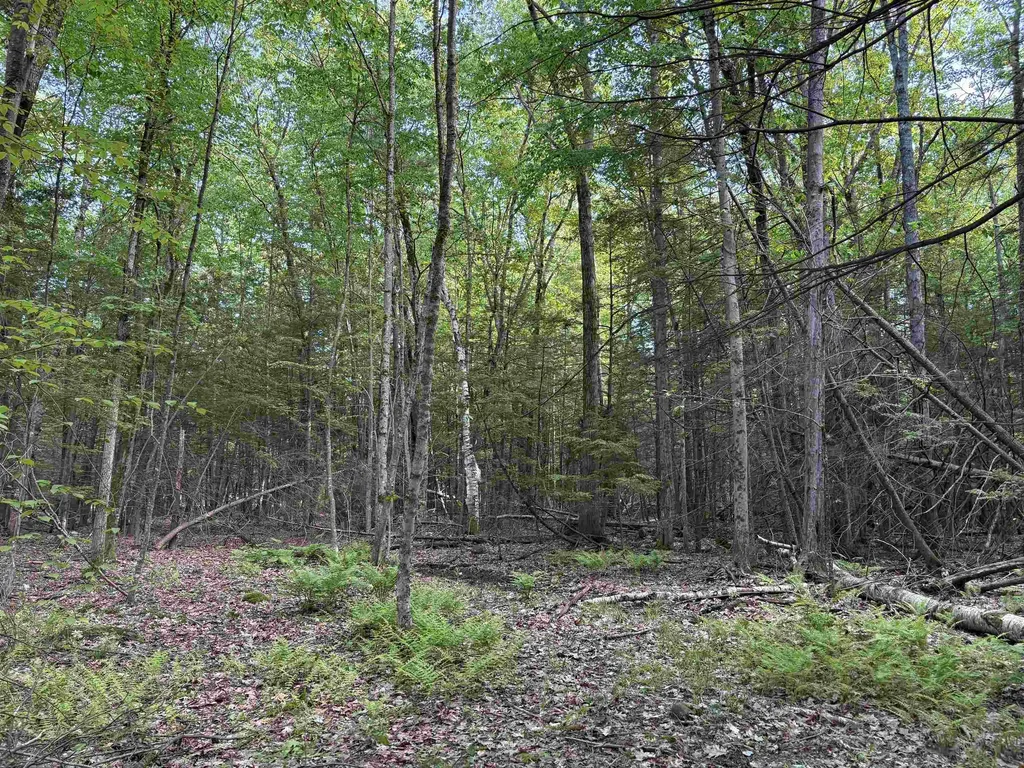 Lot 85 Currier Road Candia NH 03034